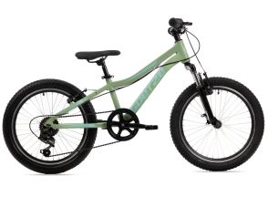 Rower dziecięcy górski Goetze Define 20" Mini